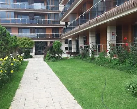 студио-